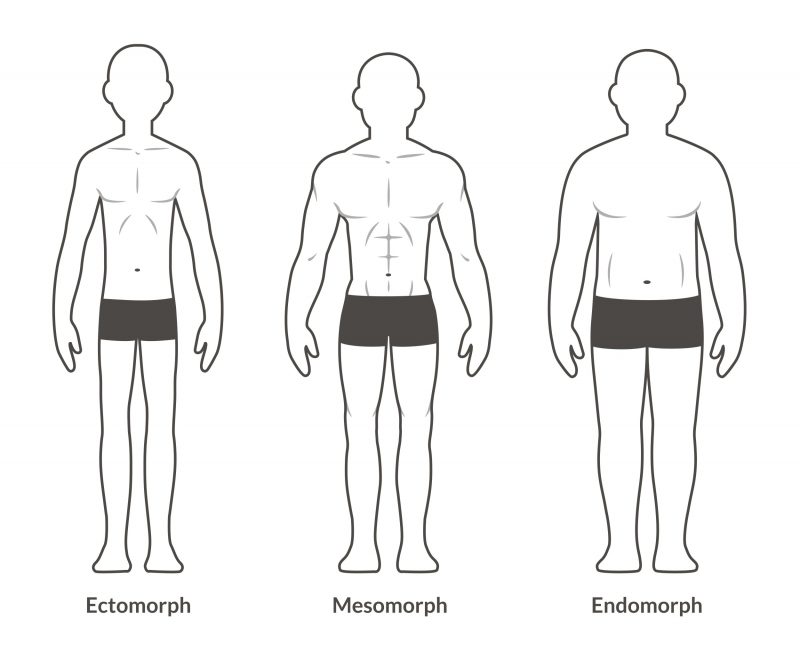 Bodily features – NeuRA Library