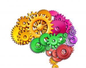 Cognition