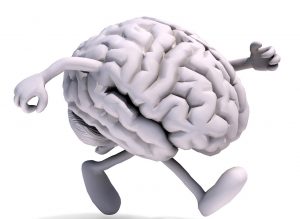 Brain function