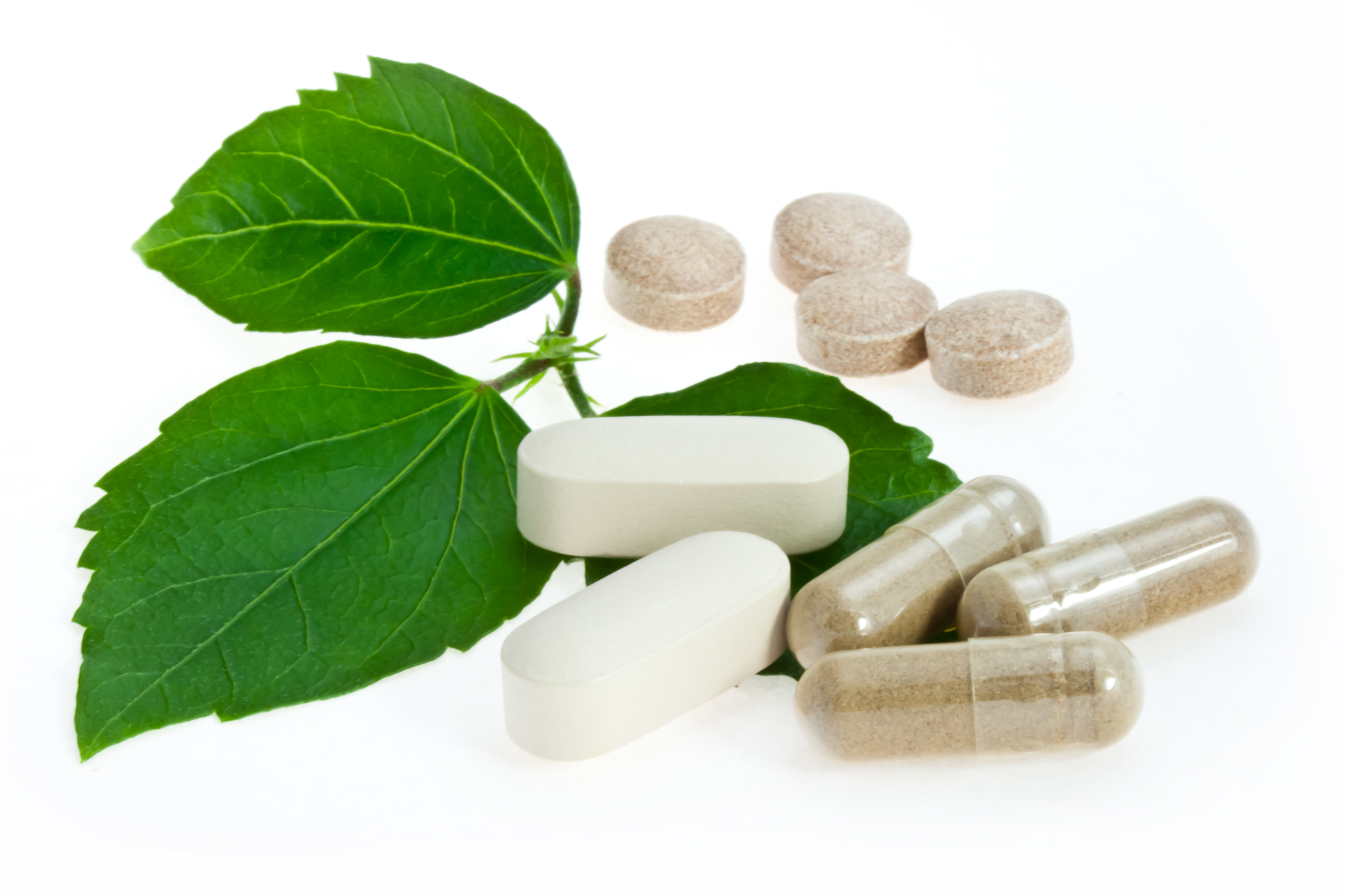 Лекарства на растительной основе. Растительные лекарства. Растительные лекарственные средства. Растительный антибиотик. Таблетки из трав.
