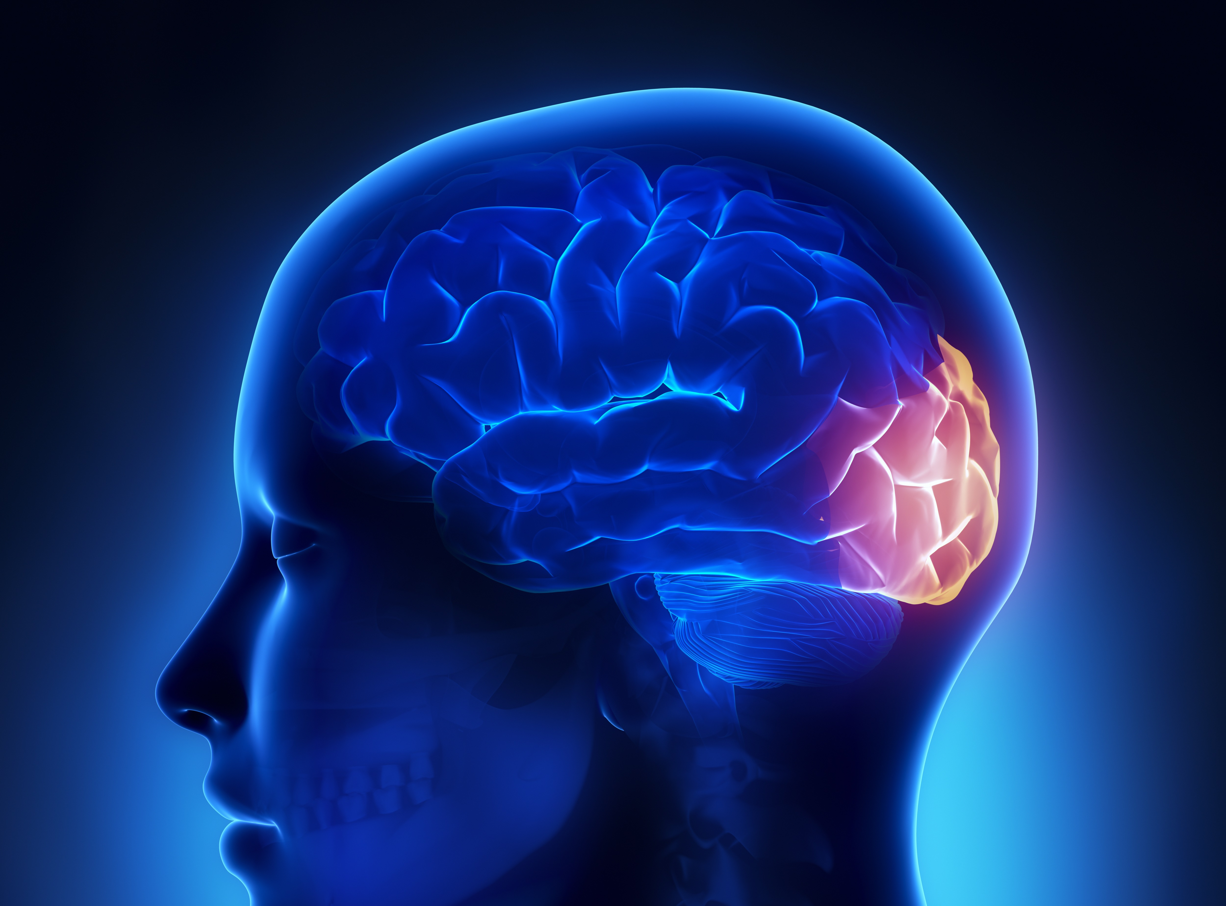 left parietal occipital lobe