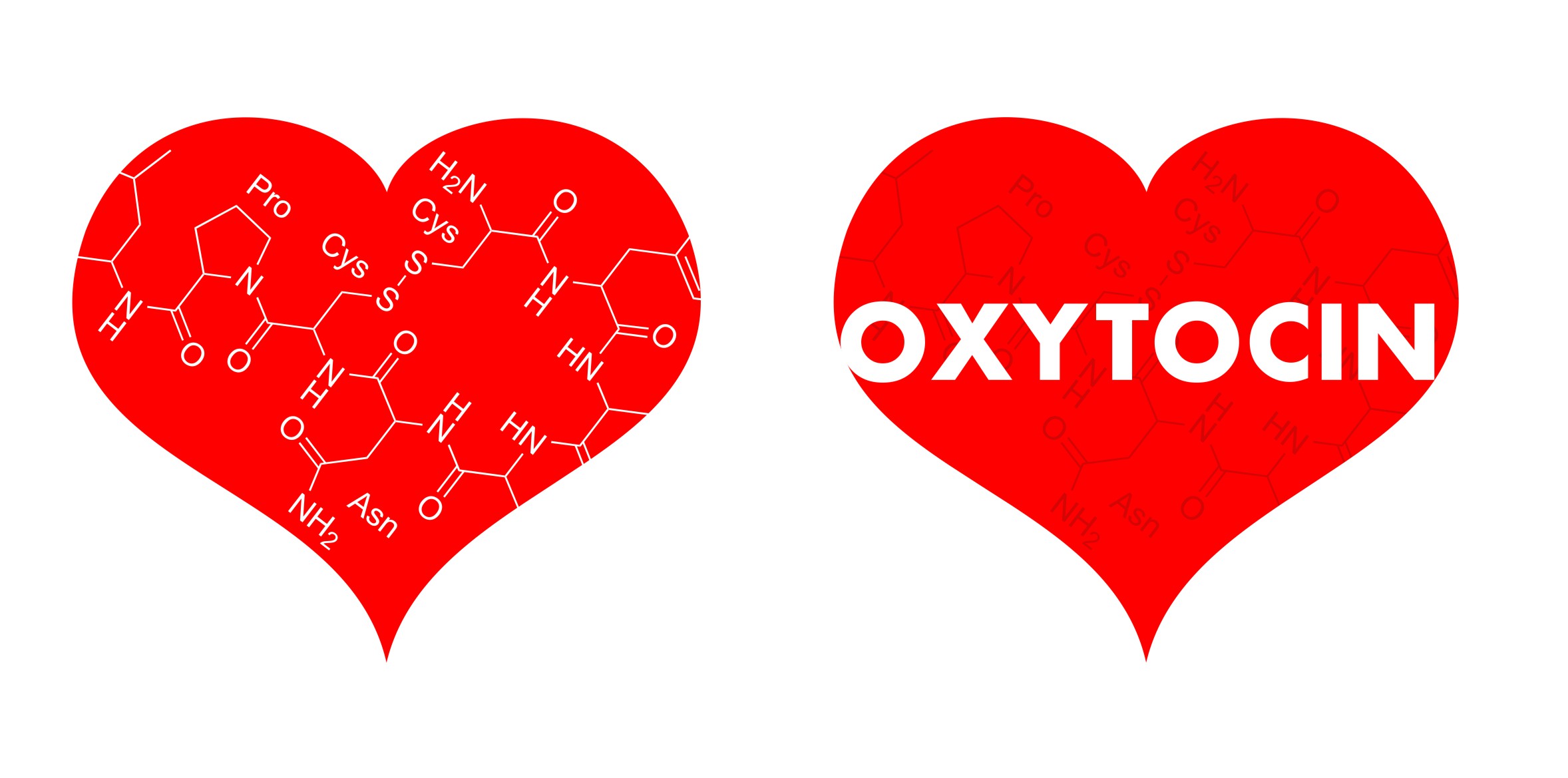 Oxytocin - NeuRA Library