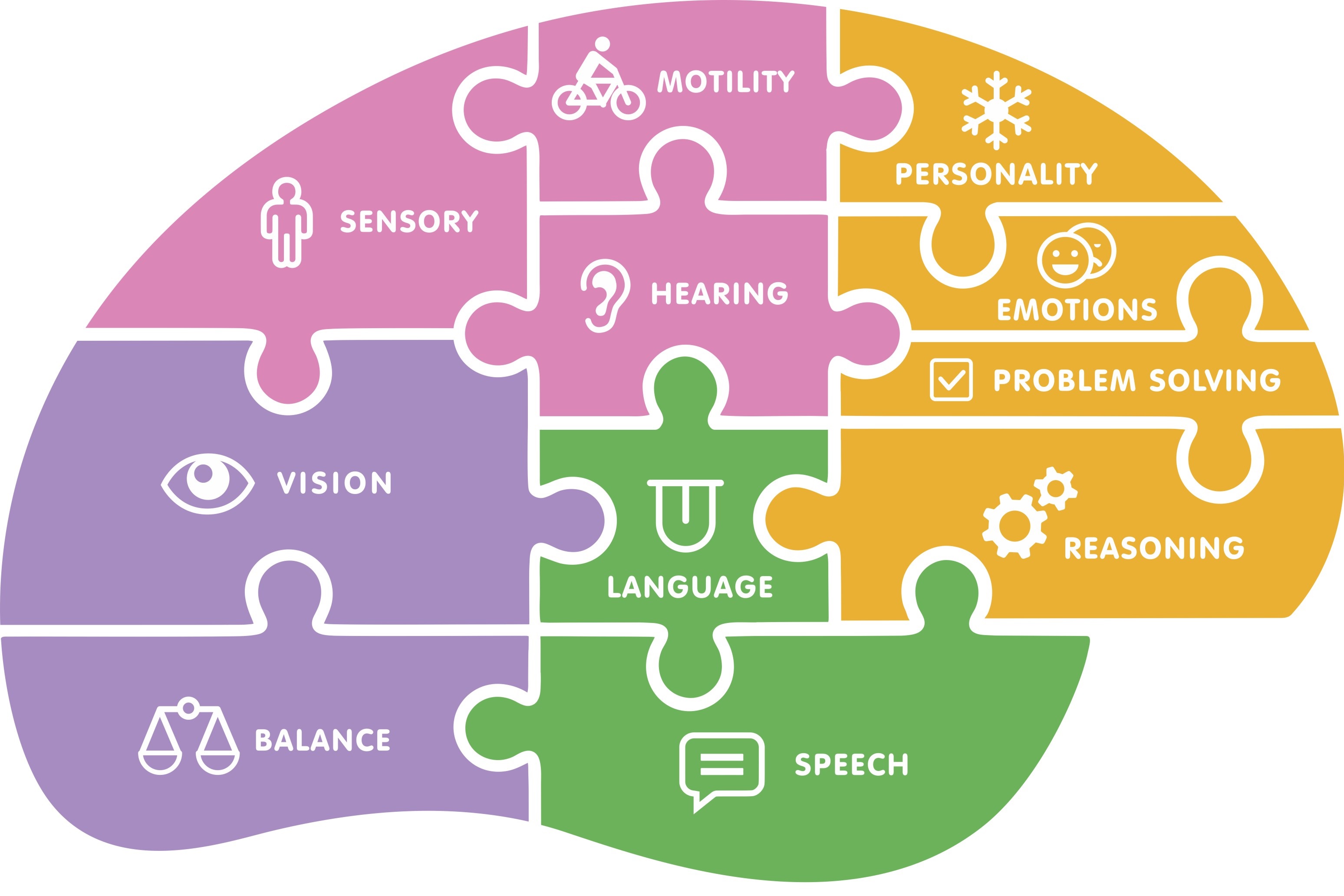 cognition-in-bipolar-disorder-and-major-depression-neura-library