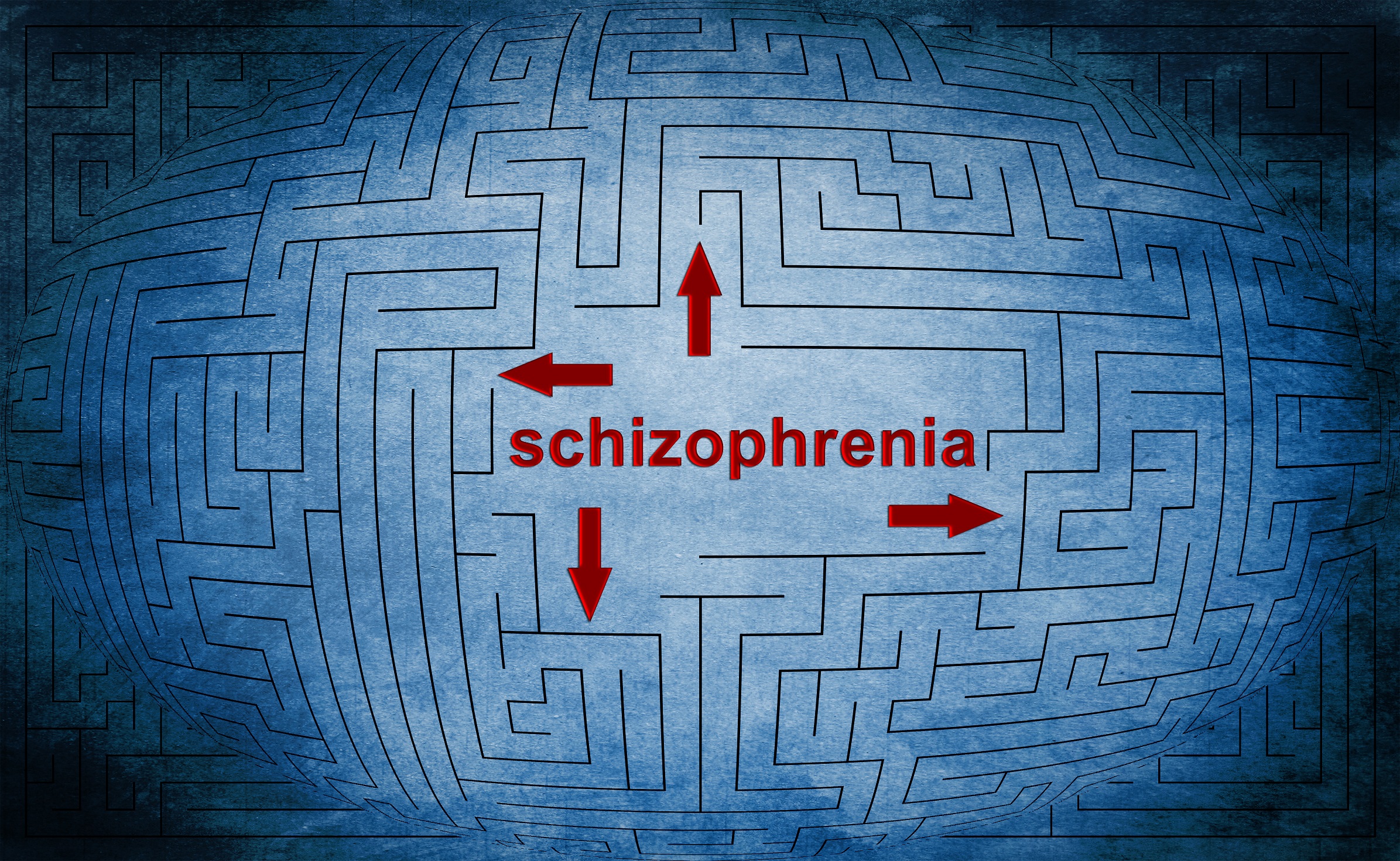 dsm-v-diagnostic-criteria-schizophrenia-dsm-v-schizophrenia-dsm